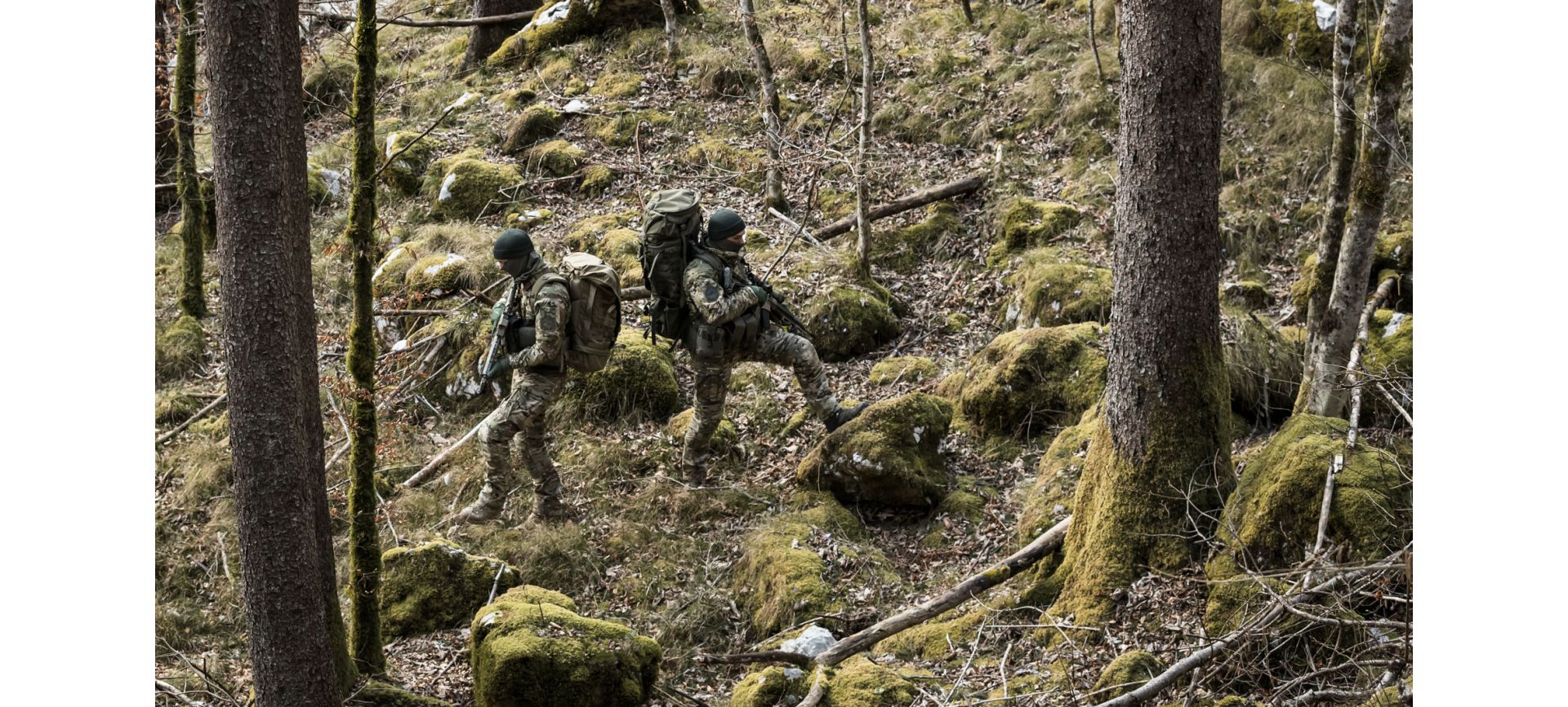 How camouflage works & the science behind it | UF PRO Blog